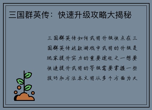三国群英传：快速升级攻略大揭秘